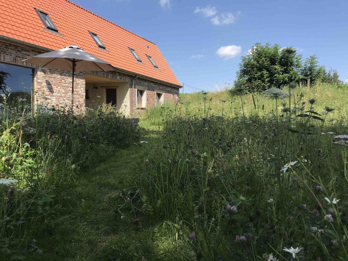 Nachtegael Hoekhuis, Knusse Woning Met Prachtig Vergezicht Kluisbergen Eksteriør bilde
