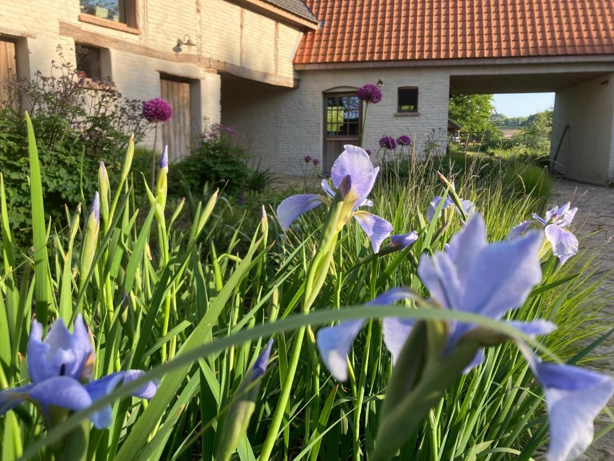 Nachtegael Hoekhuis, Knusse Woning Met Prachtig Vergezicht Kluisbergen Eksteriør bilde